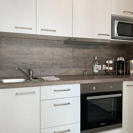 公寓 Modernes 1-zimmer-apartment Mit Kueche, Parkplatz, Kostenfreiem Wlan Und Netflix 巴德索登萨蒙特