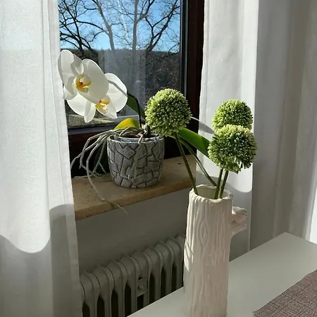 Modernes 1-zimmer-apartment Mit Kueche, Parkplatz, Kostenfreiem Wlan Und Netflix 公寓 *