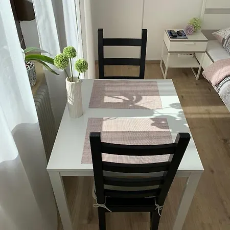 Modernes 1-zimmer-apartment Mit Kueche, Parkplatz, Kostenfreiem Wlan Und Netflix *