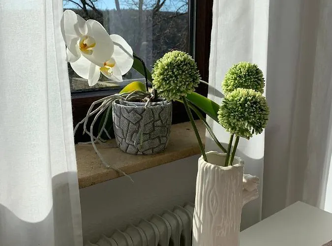 Modernes 1-zimmer-apartment Mit Kueche, Parkplatz, Kostenfreiem Wlan Und Netflix Daire *