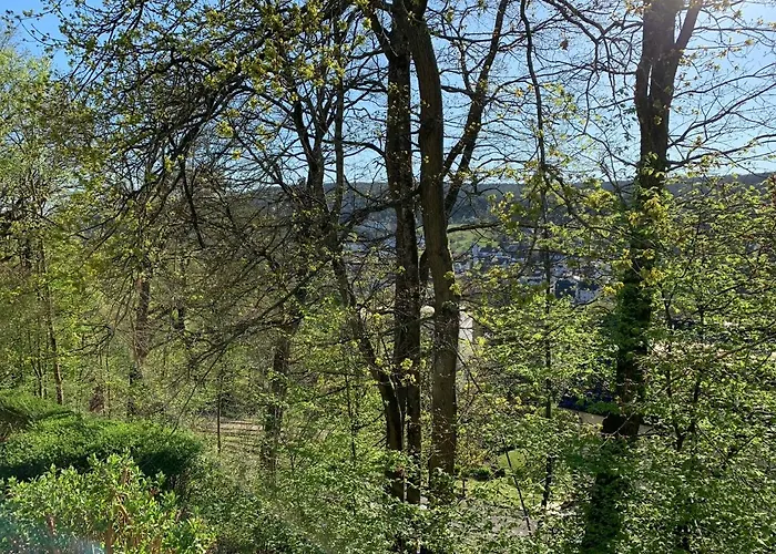 Modernes 1-zimmer-apartment Mit Kueche, Parkplatz, Kostenfreiem Wlan Und Netflix * Bad Soden-Salmünster